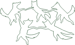 Graphic artwork with green outline of five foxes dancing in a circle holding hands, on a white background.