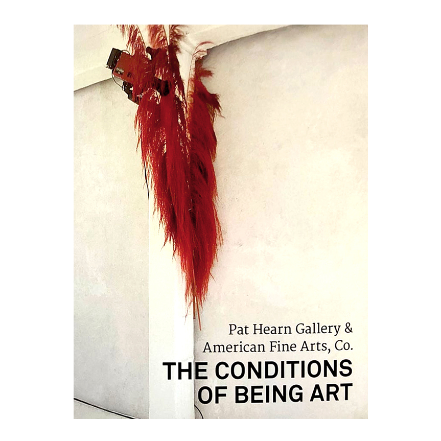 Conditions of Being Art: Pat Hearn Gallery & American Fine Arts Co.